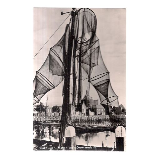 ENKHUIZEN, HAVEN MET DROMMEDARIS, NETHERLANDS unused postcard 1957 =