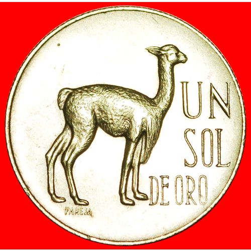VICUGNA: PERU ★ SOL DE ORO 1966! LOW START ★ NO RESERVE!