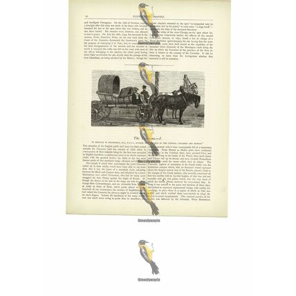 Telega, Russian Caucasus, Book Illustration (Print), c1880