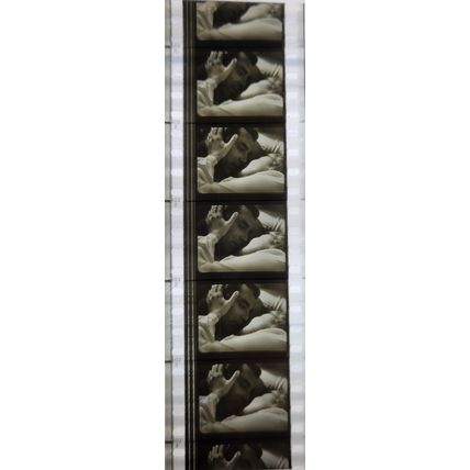 NOTORIOUS. Pk MTP - A025y. 1 STRIP OF 5 - 35MM FILMCELLS