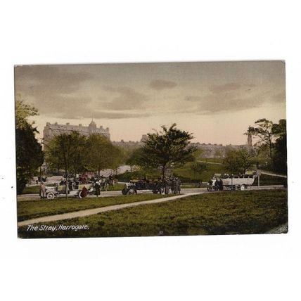 The Stray, Harrogate, Yorkshire, Postcard.