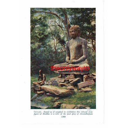 Talawakele, Picking Tea, Ceylon (Sri Lanka), Book Illustration (Print), c1920