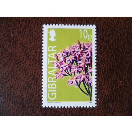 Gibraltar 2004 Wild Flowers 10p Common Centaury mint stamp SG1098 Flora Plants