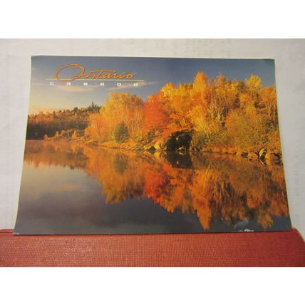 AUTUMN AT THE LAKE, ONTARIO, CANADA used large postcard 2005 pm #