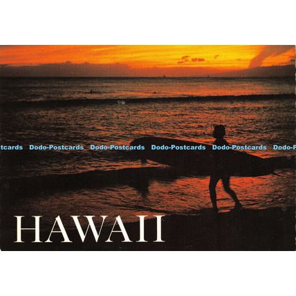 D026377 Hawaii. Paul W. Lovinger. Hawaiian Postcard. Mirro Krome