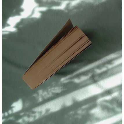 The Sentinel (Jack Reacher 25) by Andrew Child, Lee Child PB