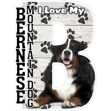 I Love My Bernese Mountain Dog Fridge Magnet