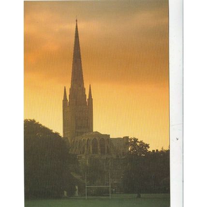 Norwich Cathedral Norfolk Postcard unused VGC