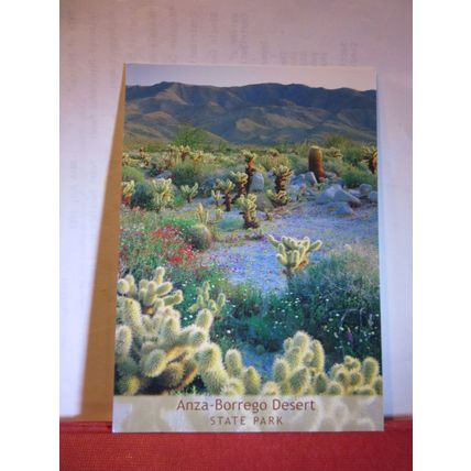 ANZA-BORREGO DESERT STATE PARK, CALIFORNIA, USA used postcard dated 2008 =