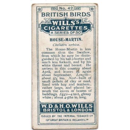 SINGLE WILLS CIGARETTE CARD BRITISH BIRDS 1917 NUMBER 42 HOUSE-MARTIN