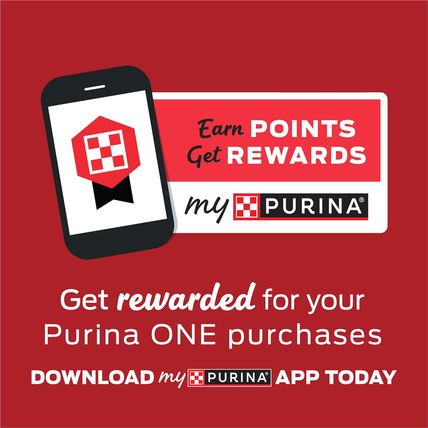 Purina ONE True Instinct with a Blend of Real Turkey and Venison Dry Dog Food -