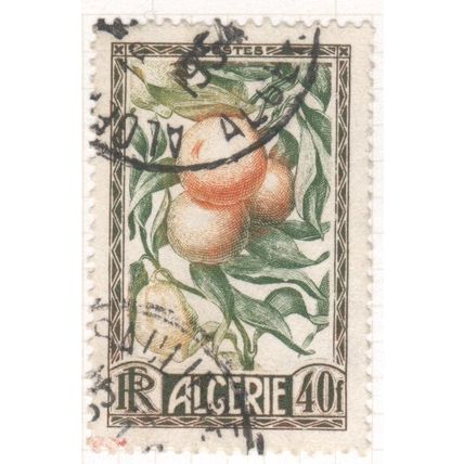 Algeria 1950 - 40f - Oranges - used