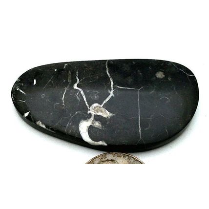 Black Septarian Freeform Gemstone Cabochon 470