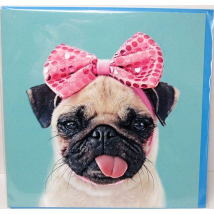 Pug Dog With Pretty Pink Bow Blank Greetings Card Humour