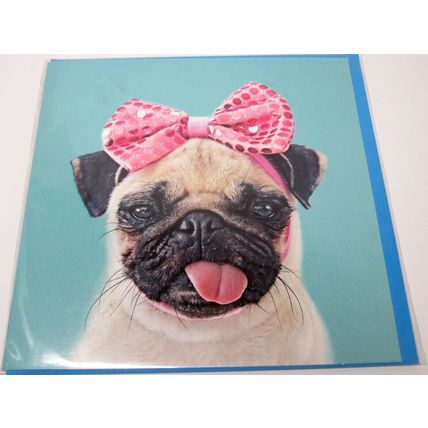 Pug Dog With Pretty Pink Bow Blank Greetings Card Humour