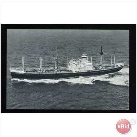 Holland-America Line SS ALBLASSERDYK Postcard