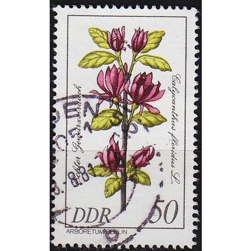 GERMANY DDR [1981] MiNr 2578 ( OO/used ) Pflanzen