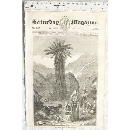 1834 The Saturday Magazine No. 147 Burial ground Caraccas, lion hunt, water, etc
