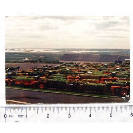 1977 postcard Saint Pol De Leon - Les Camions de Primeurs