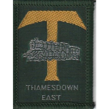 Scout Badge UK- Thamesdown East - Shiny Gold - Hessian Back (BY178)