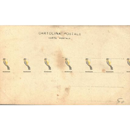 Three Italian Boys, Social History Postcard