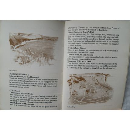 1979 Battle for Britain: The Inside Story of the Hill Forts by Harry T. Sutton