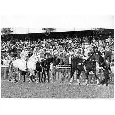 DVD - JOHN HENRY 1983 JCGC & Arlington Million BROADCAST w/KELSO Bonus Footage!