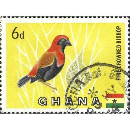 GHANA, BIRD, Fire-crowned Bishop, Euplectes hordeaceus, yellow 1959, 6d, #2