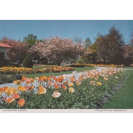 Victoria Park Waimate New Zealand Womens Institute Postcard