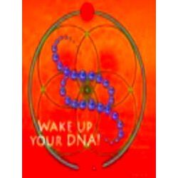 Wake up your Dna!