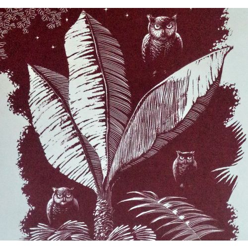 Vintage Leonard Everett Woodcut Print OWLS bird art room decor kids gift frame