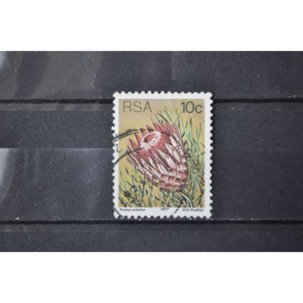 SOUTH AFRICA SG 0423 USED #1