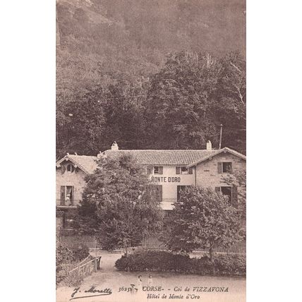Vizzavona Hotel De Monte D'Oro Italy Corse Antique Postcard