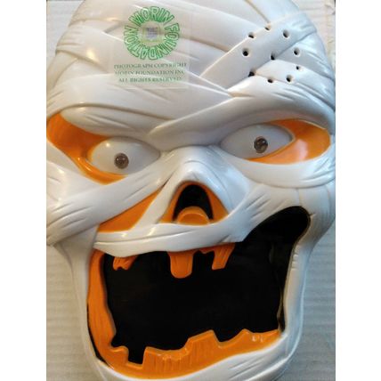 GHOUL HOUSE MUMMY DOORBELL LIGHT UP EYES DROP DOWN SPIDER ENTER AT YOUR OWN RISK
