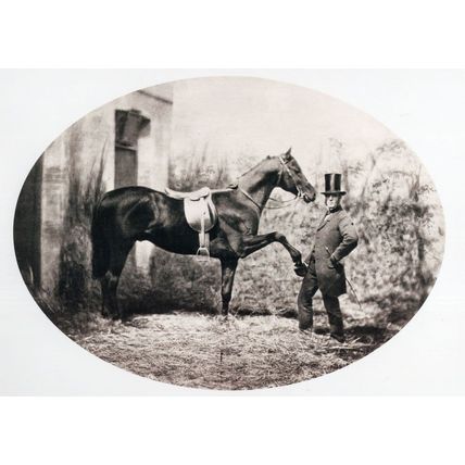 John Solomon Rarey Victorian Horse Rights Cruiser Real Photo Postcard