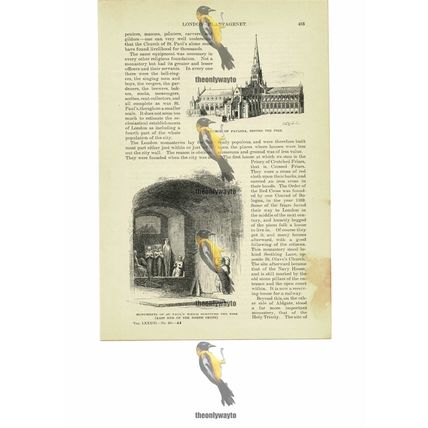 Church Of Paulina & Relics Surviving The Fire, London, Book Illustration, 1891