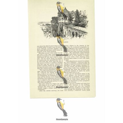 Chateau Amboise, France, Book Illustration (Print), 1891