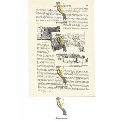 College Of Arms, Brideswell & The Savoy, London, Book Illustration (Print), 1891