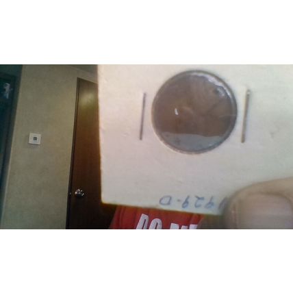 1929-D Lincoln Wheat Cent - Actual Coin in Photos