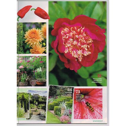 Woman's Weekly Gardening Magazine May 2017 Living Series