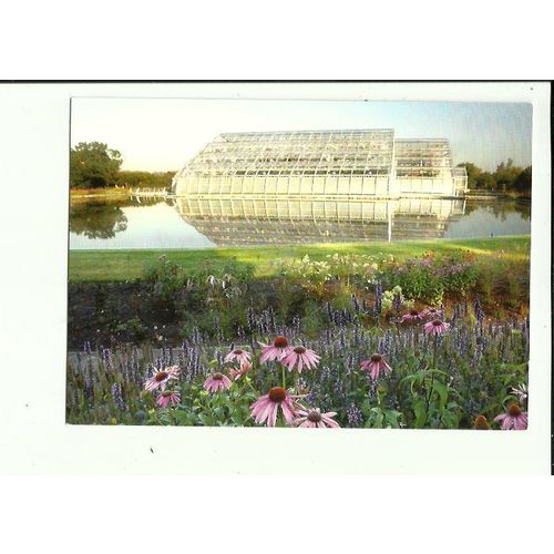 Surrey RHS GARDEN WISLEY Postcard by RHS