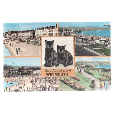 WEYMOUTH, DORSET. multiview used vintage postcard by Colourmaster 1980 pm Cats =
