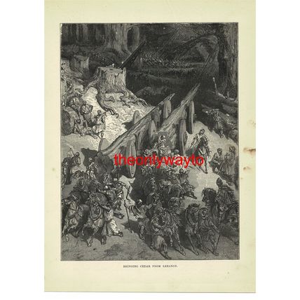 Bringing Cedar From Lebanon, Book Illustration (Print), 1888
