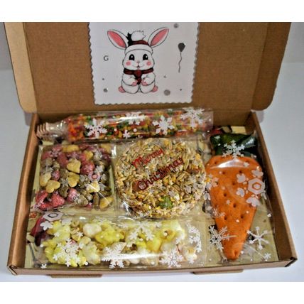HOPPY CHRISTMAS RABBIT BUNNY GIFTBOX DECORATED GIFT BOX WITH XMAS CAKE & TREATS