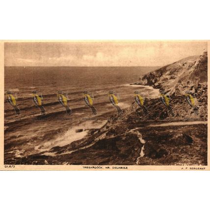 Tregardock, Nr Delabole, Cornwall, Rare Frith Postcard