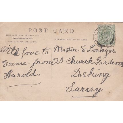 ED 209 DOGS -'HULLO, WHAT IS IT BY MAUD SCRIVENER. PRINTED POSTCARD