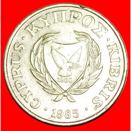 GREAT BRITAIN (1983-2004): CYPRUS★5 CENTS 1985! SILVER BOWL★LOW START★NO RESERVE