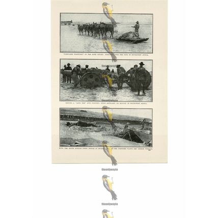 South African Union Forces in German SW Africa, WW1, Book Illustration (Print)