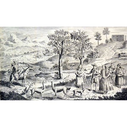A LIMA LADY IN HER RIDING DRESS 1790 Peru Mulatto Calash ANTIQUE ENGRAVING