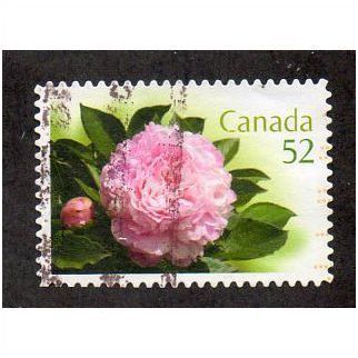 CAN 2007 52c(S/A) 'PEONIES' FINE USED (EBID27-683)